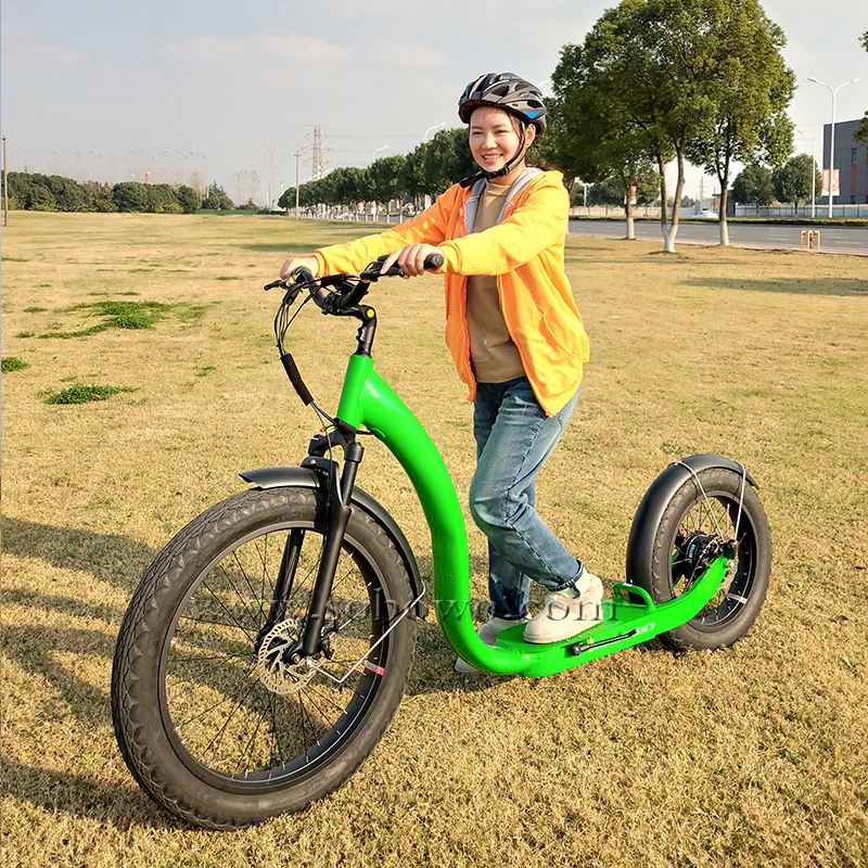 Tyranno Electric Scooter